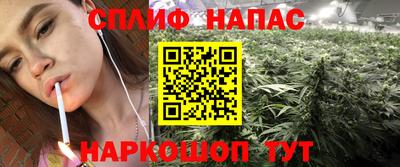 PSILOCYBIN Будённовск